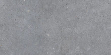 Load image into Gallery viewer, Siena Light Grey Matt Porcelain Wall &amp; Floor Tile
