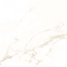 Load image into Gallery viewer, Goldman Matt Porcelain Wall &amp; Floor Tile
