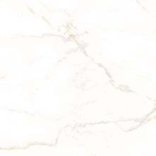 Load image into Gallery viewer, Goldman Matt Porcelain Wall &amp; Floor Tile
